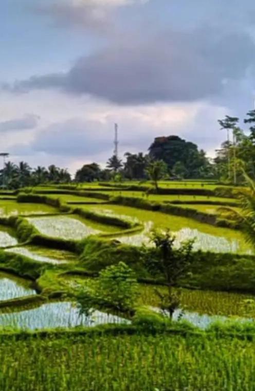 Asan Rinjani Homestay Тетебату Экстерьер фото