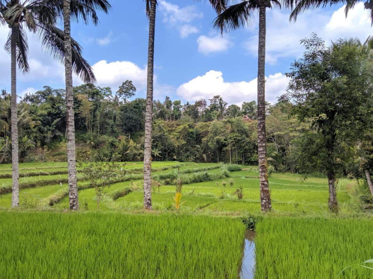 Asan Rinjani Homestay Тетебату Номер фото