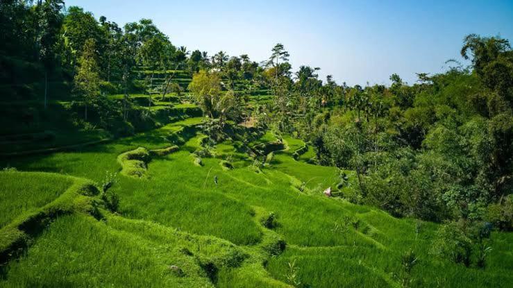 Asan Rinjani Homestay Тетебату Экстерьер фото