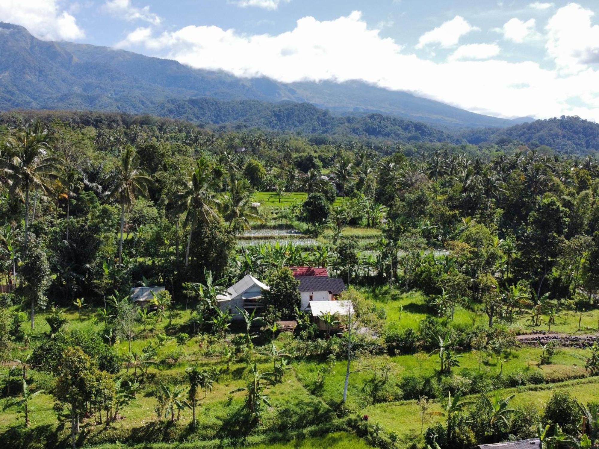 Asan Rinjani Homestay Тетебату Номер фото